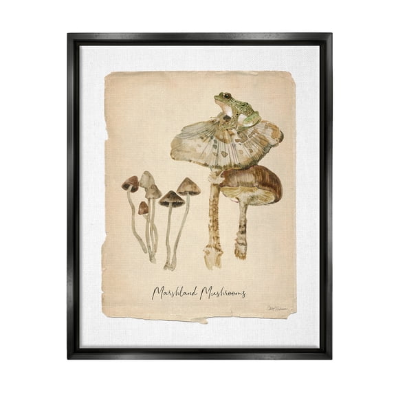 Stupell Industries Marshland Mushrooms & Frog Botanical & Floral Painting Black Floater Framed Canvas Art Print Wall Art, 17 x 21