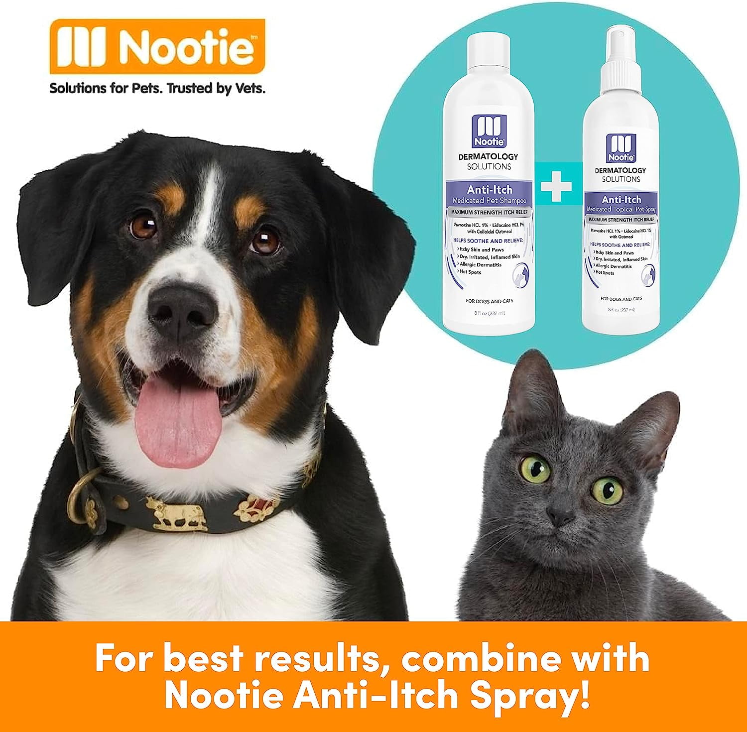 Nootie medicated top dog shampoo