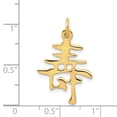 thumbnail image 4 of 14K White Gold Chinese Long Life Charm Pendant Jewelry, 4 of 4