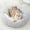Gray, variant on TOPRenddon Calming Dog Beds & Cat Cave Bed with Hooded Cover,Removable Washable Round Beds for Small Medium Pets,Anti-Slip Faux Fur Fluffy Coved Bed for Improved Sleep,Fits up to 11 lbs