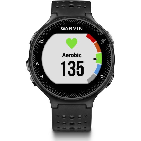 Garmin Forerunner 235 Smartwatch - Black/Gray
