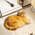 thumbnail image 4 of Roiihwy Cat Bath Rug - Cute Bath Mat,Soft and Fluffy Round Bath Rugs,Non-Slip Absorbent Bath Mats,Cat Bathroom Mats for Bathroom,Kid Room,Bedroom, 4 of 6