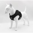 thumbnail image 3 of ZHAOCHENG Correa para mascotas, arnés de pecho, para gatos y perros que viajan y corren * Azul XS negro, 3 of 3