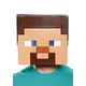 thumbnail image 3 of Mascara Disguise Minecraft - Steve 67939, 3 of 3