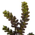 thumbnail image 2 of Conjunto de 12 Suculentas Artificiales Casi Naturales de 13 cm, 2 of 3