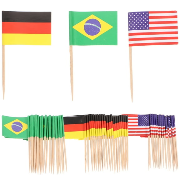 125PCS National Flag Toothpick Picks (Assorted Style)