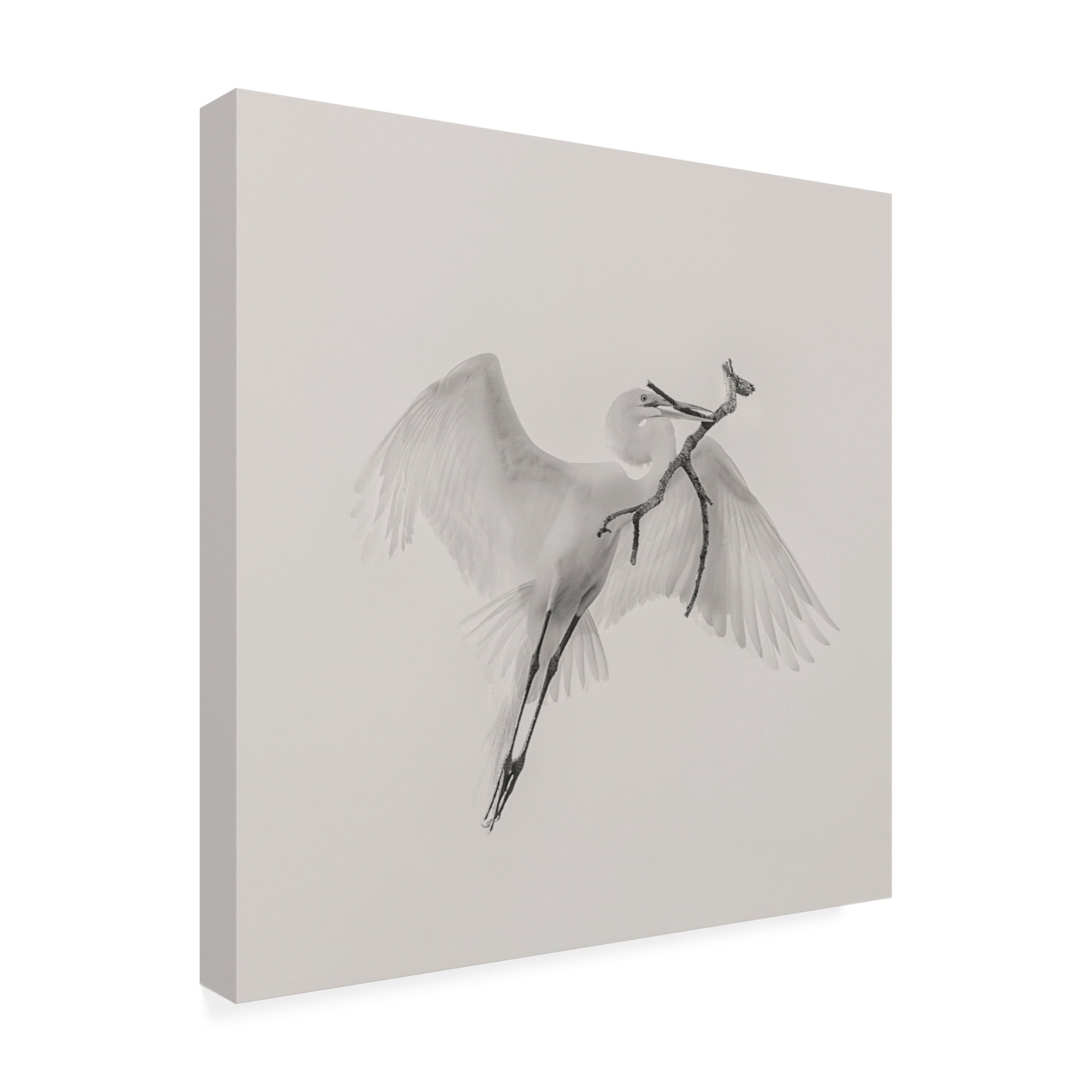 Canvas Wall Art - Qing Zhao 'A Good One' Wall Art for Living Room, Bedroom, or Office Décor by Trademark Fine Art - 14 x 14 Inches