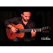 C10 CD IN Nylon String Classical Acoustic Guitar Cedar Top, Gloss Poly Finish
