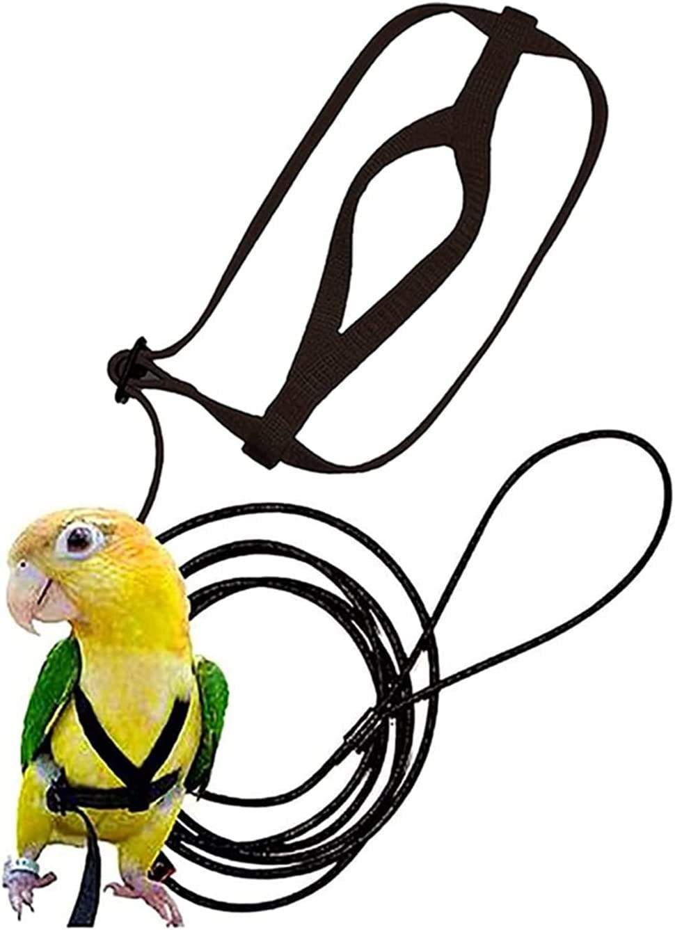 small bird harness and leash