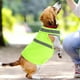 thumbnail image 5 of Chaleco para perros de alta visibilidad Chaleco para perros de caza Chaleco ajustable para perros Chaleco de seguridad para cachorros (L), 5 of 5