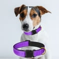 thumbnail image 2 of CHBORLESS Reflective Dog Collar Soft Comfortable Pet Puppy Collars, 2 of 5