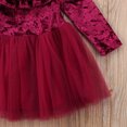 thumbnail image 3 of Seyurigaoka Fancy Princess Kids Baby Girl Dress Velvet Fleece Party Dress Tulle Tutu Dress, 3 of 7