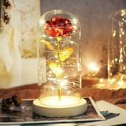 Eternal Flower Rose in Glass Dome Rose lamp LED Light Romantic Home Decor Gifts for Valentine's Day Mother's Day Wedding Anniversary