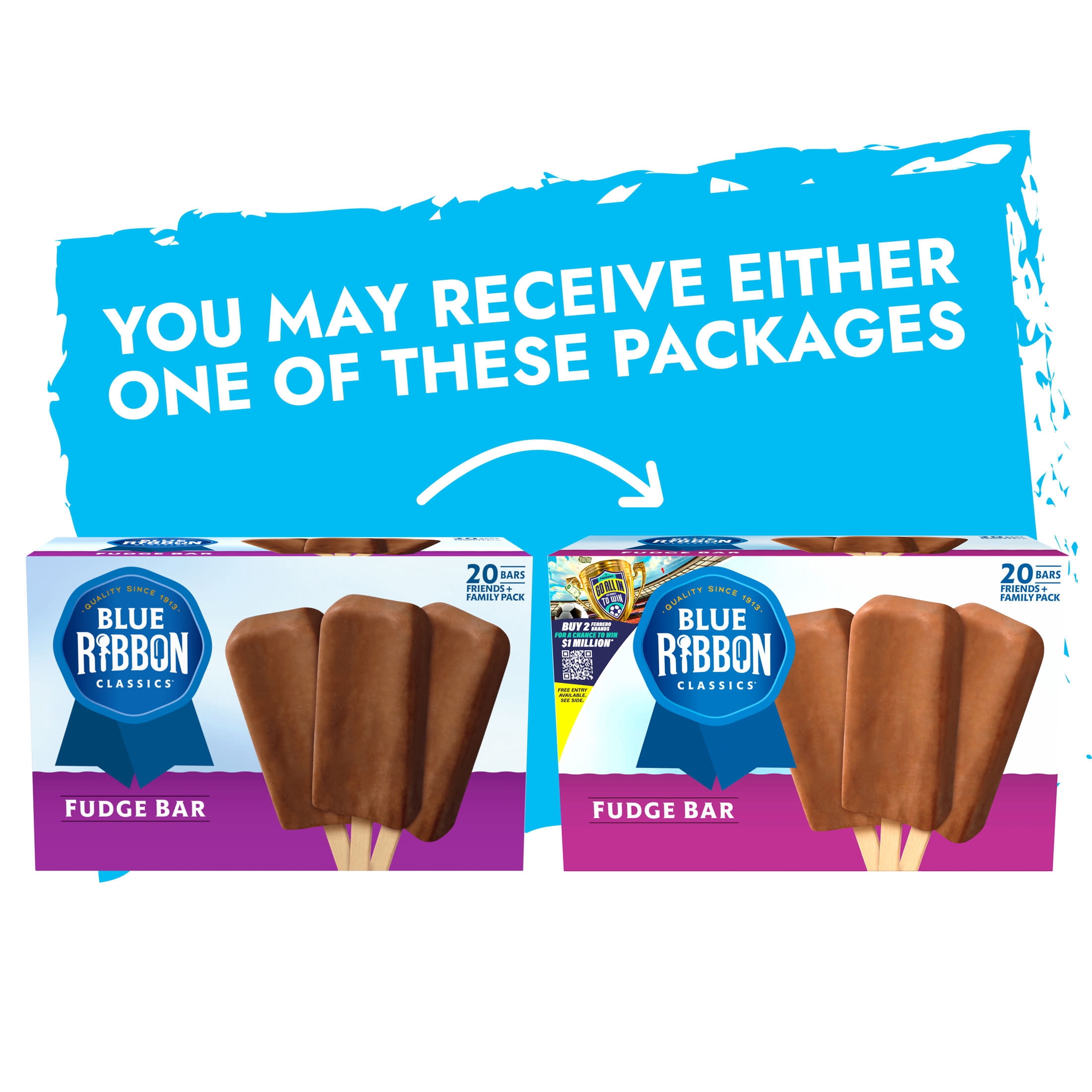 Blue Ribbon Classics Chocolate Flavored Fudge Frozen Dessert Treat Bar, 45 fl oz, 20 Pack