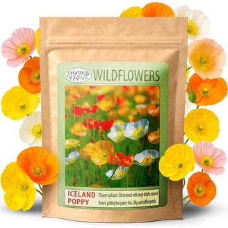 Created By Nature Oklahoma Wildflower Seed Mix, 17 Flower Varieties, 60,000  Seeds - Walmart.com