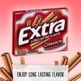 thumbnail image 2 of EXTRA CINNAMON Bubble Gum 12 Pack  Wholesale Great for Convenience Stores, Snack Shops, Grocery Stores Or Just Stock Up For The Love Of 'EM (EXTRA CINNAMON  WHOLESALE CASE), 2 of 8