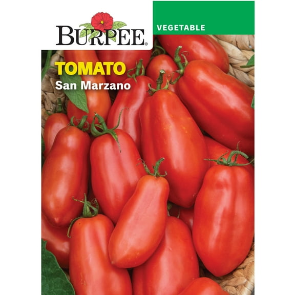 Burpee San Marzano Annual Tomato Seed, 1-Pack, Full Sun
