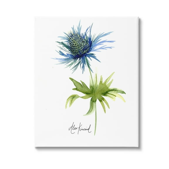 Stupell Industries Minimal Thistle Flower Botanical & Floral Painting Gallery Wrapped Canvas Art Print Wall Art, 16 x 20