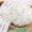 Taro (50g), variant on 2026 New Product Rainbow Bean Thread Scarf Thread Hand Woven DIY Rainbow Sugar Hand Mixed Thread Woven Scarf Hat Sweater