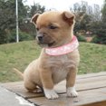 thumbnail image 5 of Collar de perro de cuero Bling Rhinestone - Incrustaciones de cristal para perros y gatitos, 5 of 5