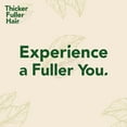 thumbnail image 7 of Thicker Fuller Hair Gentle Cleansing Shampoo for All Hair Types, with Mongongo Oil and Green Coffee, 12 oz, 7 of 7