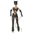 thumbnail image 4 of Mattel Barbie Catwoman Lightweight Child Dolls, Vinyl Silicone Black, 4 of 7