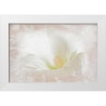 thumbnail image 1 of Murdock, Ramona 24x17 White Modern Wood Framed Museum Art Print Titled - Hollyhock Illusion, 1 of 4