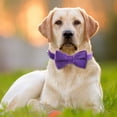 thumbnail image 2 of Cat Soft Velvet With Bow Tie Bell Breakaway Boy Girl Basic Pure Colors Male Female, 2 of 9