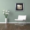 thumbnail image 3 of Trademark Fine Art "Lombardy VII" Canvas Art by Alan Blaustein, Black Matte, Silver Frame, 3 of 4