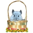 thumbnail image 2 of CafePress - Easter Chin Mug - 11 oz Ceramic Mug - Novelty Coffee Tea Cup, 2 of 4