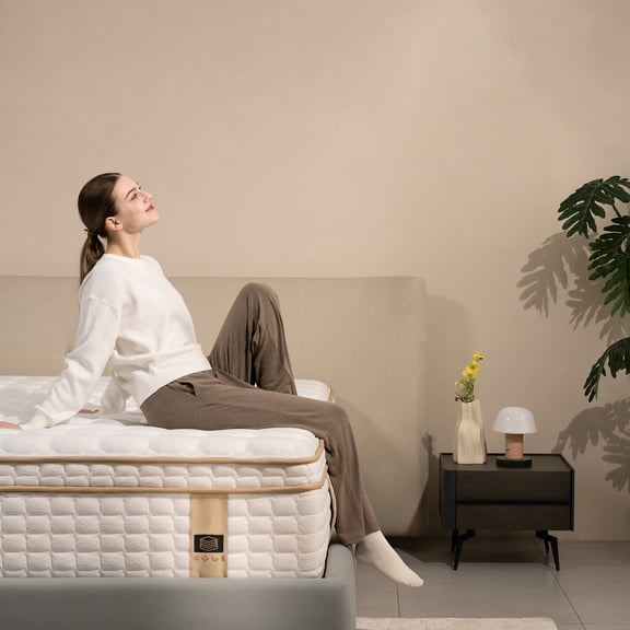 IDEK Furniture Adult 12 Inch Mattress-in-a-Box Queen Medium Euro Top Hybrid Mattress,White