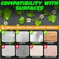 thumbnail image 3 of 100Pcs Clear Plant Clips for Climbing Plants Indoor – White Flexible Vine Wall Clips with Self-Adhesive Mounts, Universal Size Set for Vines, Easy Installation with Strong Grip, 3 of 18