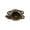 Antique Brass, variant on Sash Lock Brass