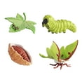 thumbnail image 3 of Figurilla de ciclo de vida realista Macarena Material didáctico de animal, 3 of 8
