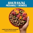 thumbnail image 4 of Alimento para Perro Pedigree Adulto 500 g, 4 of 4