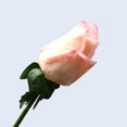 thumbnail image 1 of Flor artificial que se siente hidratante, rosa artificial, planta para boda, decoración del hogar, arreglo floral en maceta, planta verde, 1 of 6