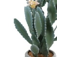 thumbnail image 6 of 36" Artificial Cactus, Tall Fake Big Cactus Potted Faux Cacti Plants Realistic Large Faux Cactus Plant for Home Office Store Garden Decor Housewarming Gift, 6 of 8