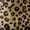 Leopard, variant on Gocvo Multi-Pocket Hobo Bags for Women, Corduroy Tote Bag for Casual Outings Work Shopping(Leopard)
