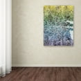 thumbnail image 3 of Trademark Fine Art 'Dublin Ireland City Map IV' Canvas Art by Michael Tompsett, 3 of 3