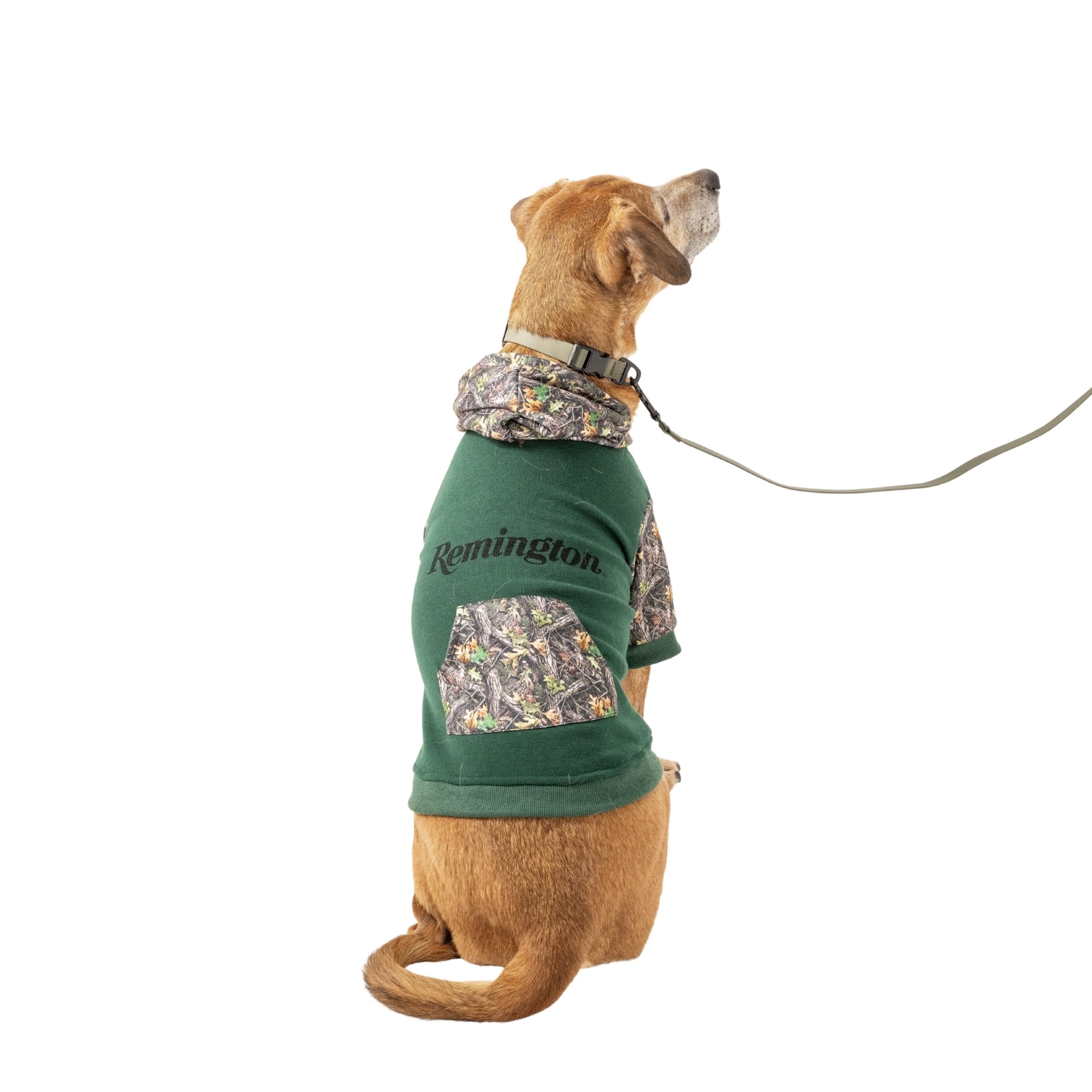 Remington Coated Dog Collar, Sage, Size S