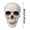 (A89 B 7.9"), variant on Small Skulls Halloween Decor, 4.1" Plastic Fake Skeletons Movable Jaw, Mini Skulls For Crafts Outdoor Halloween Decorations, Realistic Miniature Human Skull Heads Home Decor