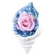 thumbnail image 1 of KAKOWELY 1 caracola de flores frescas preservadas para escritorio (colores surtidos), 1 of 5