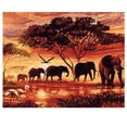 thumbnail image 3 of Pintura al óleo digital de bricolaje animal decorativo sin marco lienzo pintura sala de estar cuadro al óleo de pared tholdsy HA5692-00B, 3 of 6