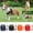 D, variant on Reflective Dog Harness Breathable Pet Vest with Leash for Outdoor Puppy Play and Training Supplies