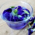 thumbnail image 2 of Butterfly Pea Flower, 2 of 2