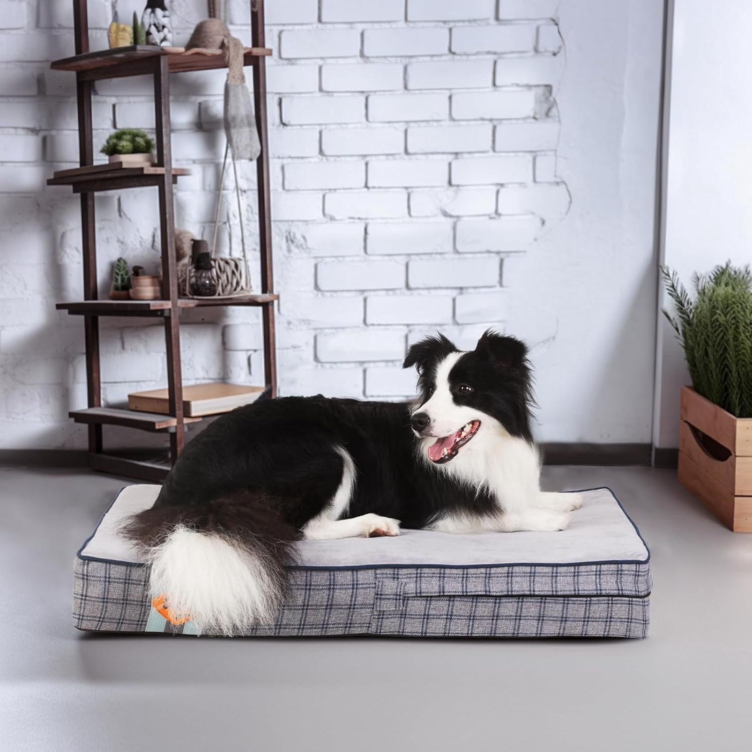 Laifug Orthopedic Memory Foam Dog Bed with Durable Waterproof Liner and Removable Washable Cover