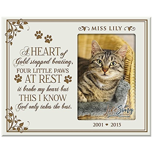 Pet Memorial Gifts Gifts for Pet Sympathy Paws On My Heart Personalized Photo Cube