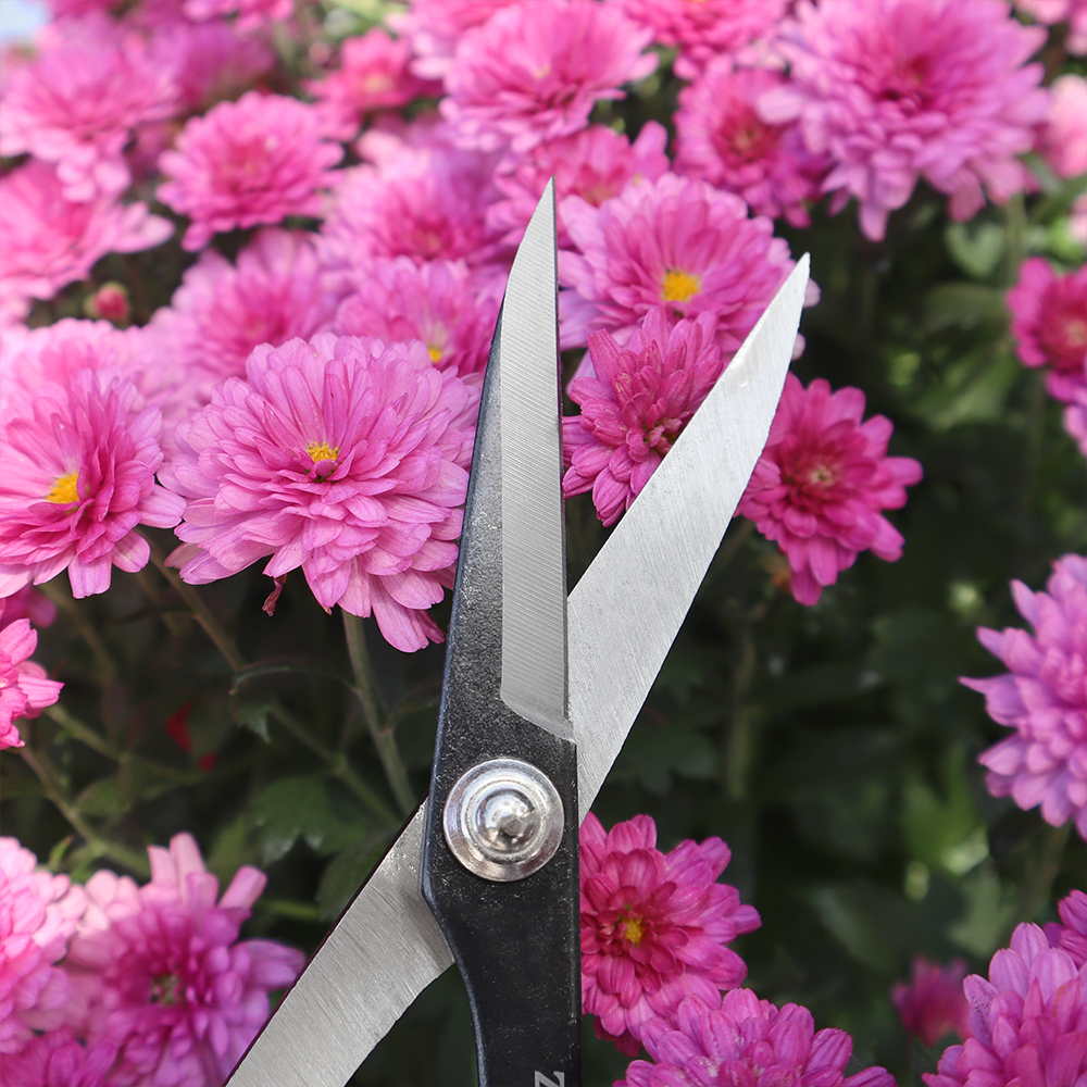 Zenport ZS105 Deluxe Garden Scissors, 6.5-Inch, 1.5 Inch Carbon Steel Blades, Red/White - 12 Pack