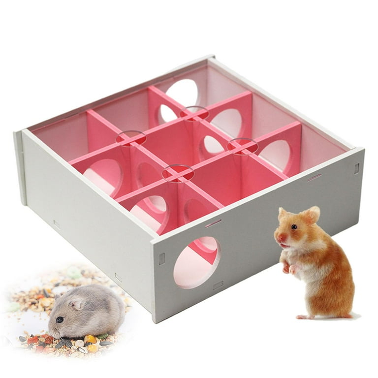 Do Hamsters Attract Mice or Other Rodents? - Small Animal Pets