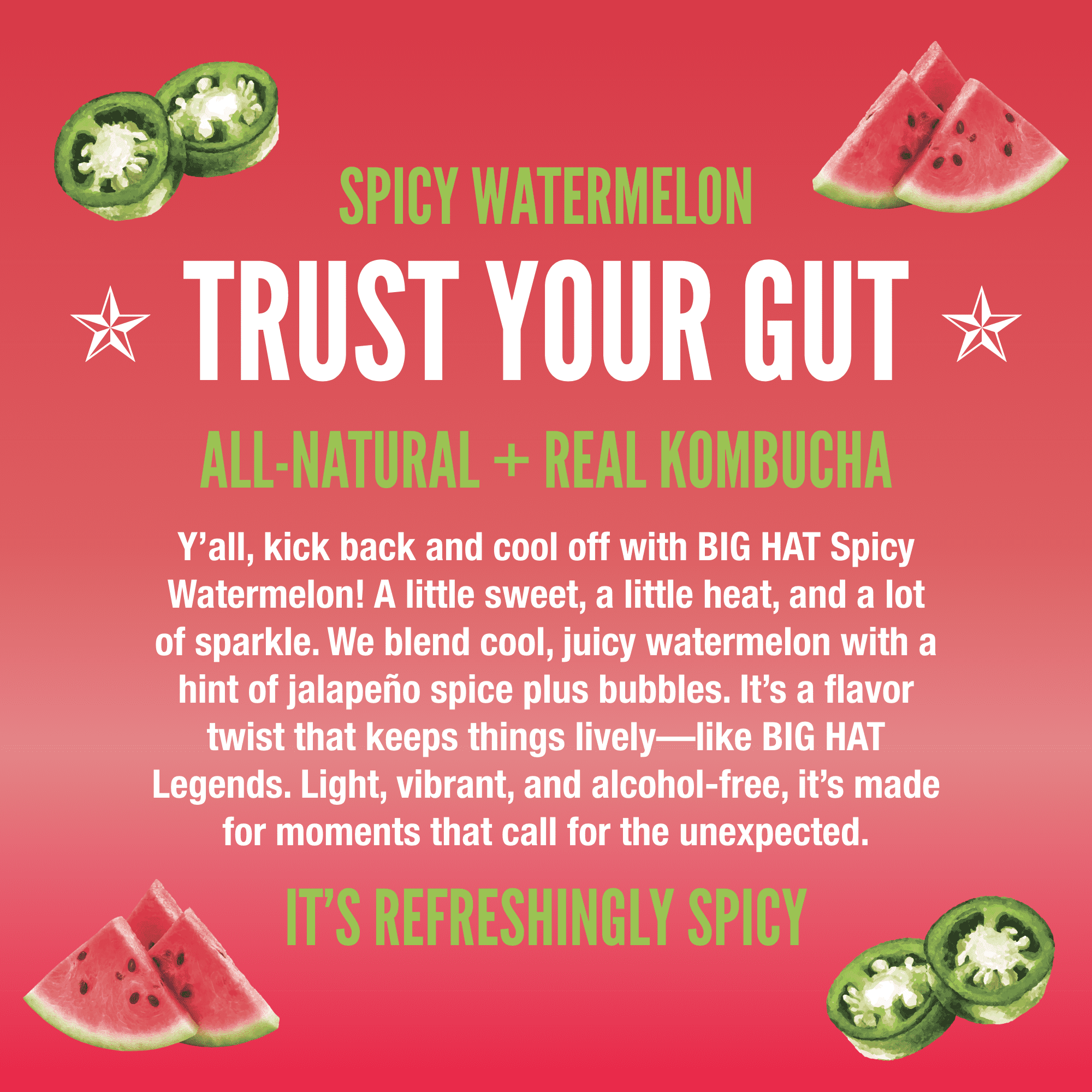 BIG HAT Spicy Watermelon Mocktail, Non-Alcoholic 4 Pack, 12 fl oz Cans